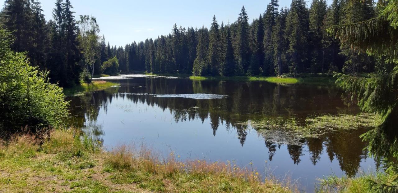 Penzion Jizerska Malina Bedřichov Exterior foto