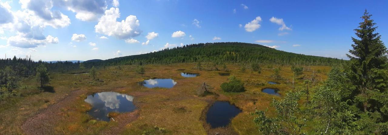 Penzion Jizerska Malina Bedřichov Exterior foto